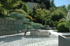 reportage_garten1