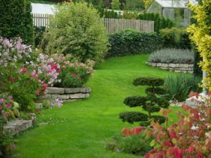 reportage_garten2