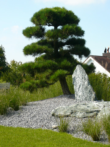 reportage_garten3
