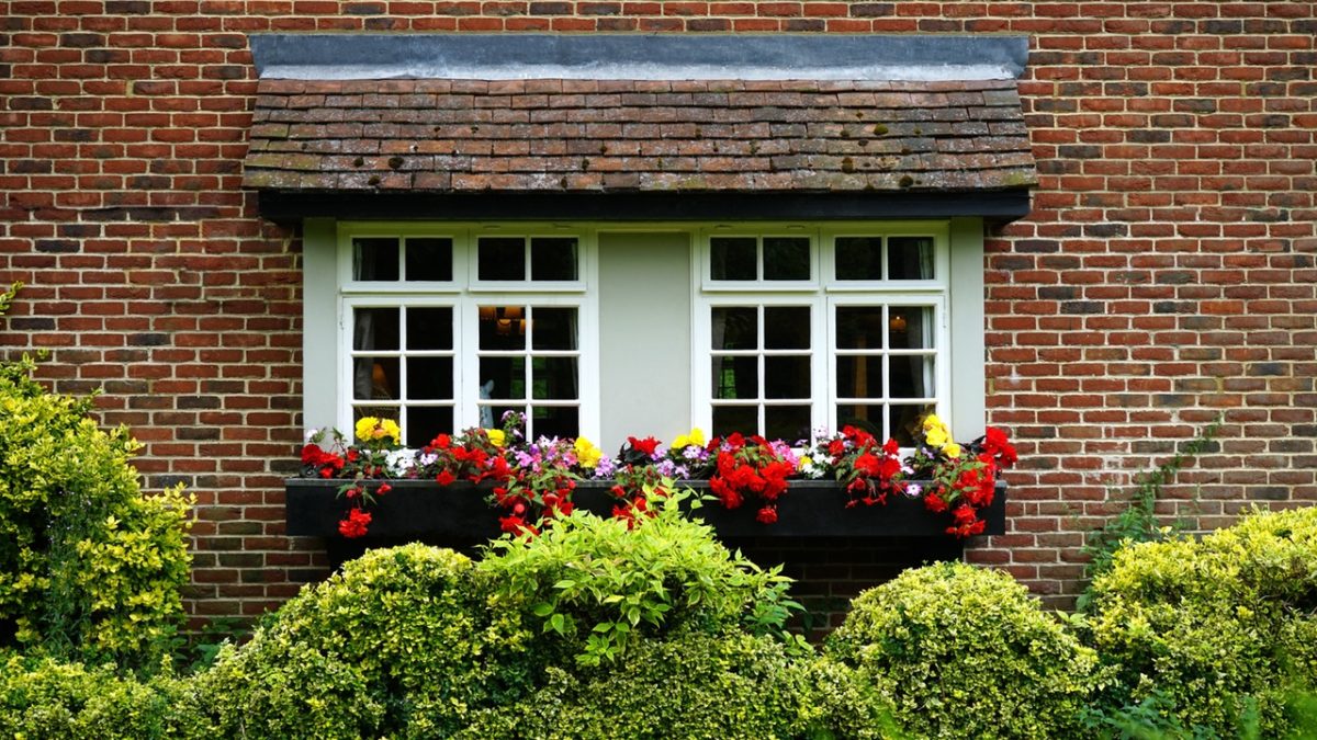 verdure-maison-1200x675