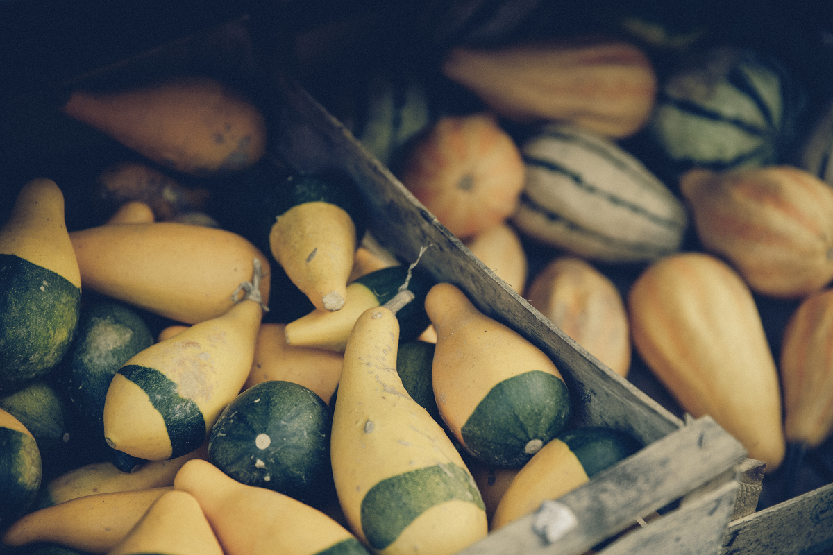 courges_klein