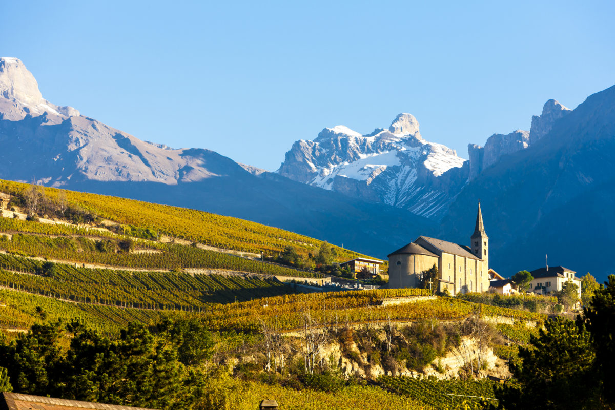 vineyards below church at Conthey, Sion region, canton Valais, Switzerland